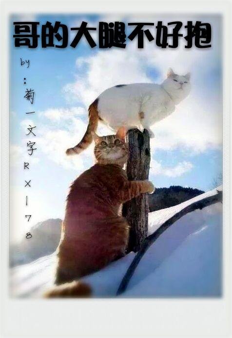 Brother's thighs are not easy to hug