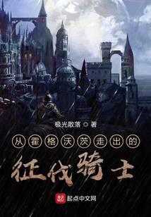 Conquest knights from Hogwarts