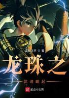 Dragon Ball: Budo Rise