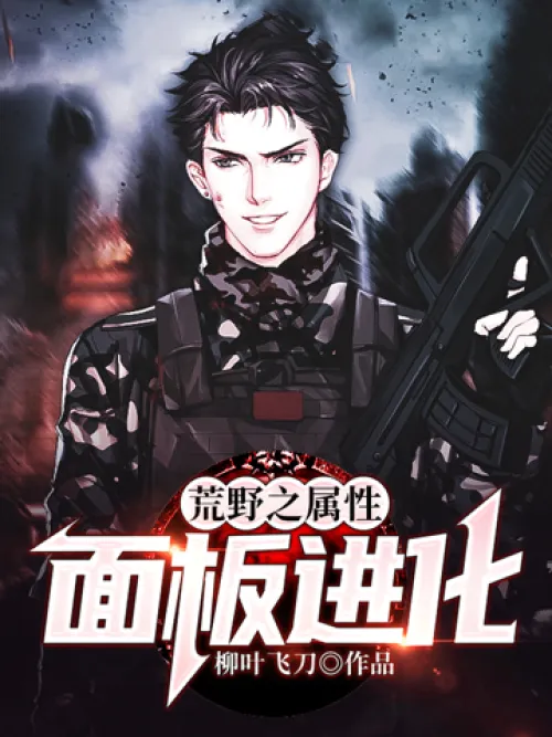 Wilderness attribute panel evolution